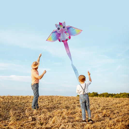 Roze Eenhoorn Vlieger voor Kinderen en Beginners met 50m Vliegertouw