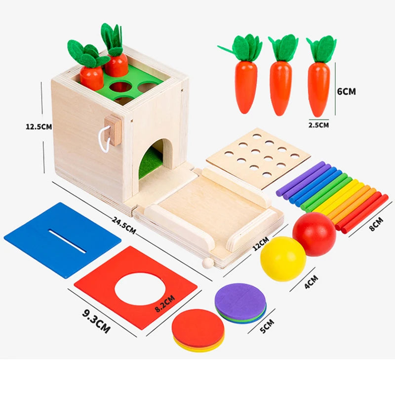 Montessori 4-in-1 Speelset: Objectpermanentie, Muntdrop, Worteloogst & Vormensorteerder