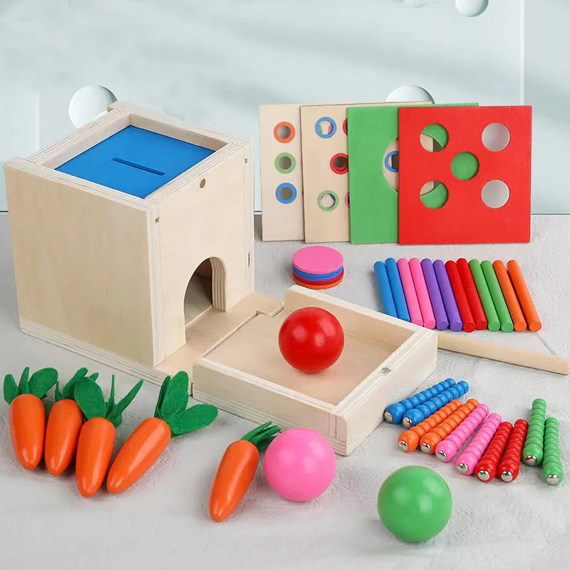 6-in-1 Houten Montessori Speelbox