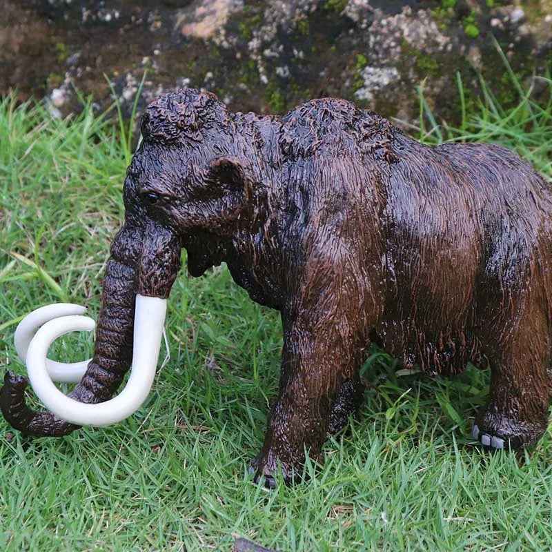 Prehistorische Dieren en Zeedieren Modellen – Speelgoed voor Kinderen