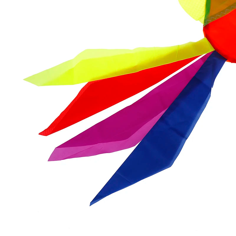Regenboog Vis Vlieger Windsok voor Buiten