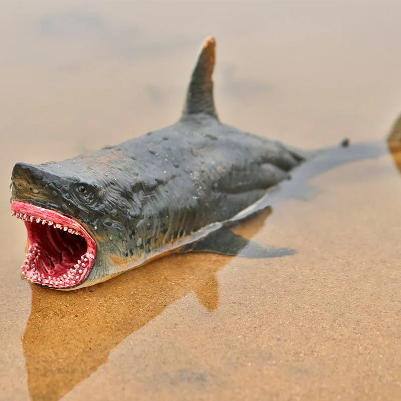 Prehistorische Dieren en Zeedieren Modellen – Speelgoed voor Kinderen