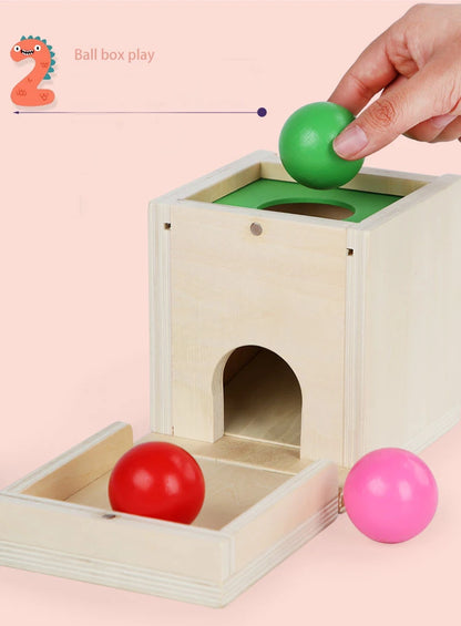Houten Montessori 6-in-1 Speelbox met Objectpermanentie, Munten en Worteloogst