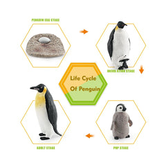 penguin Set 1