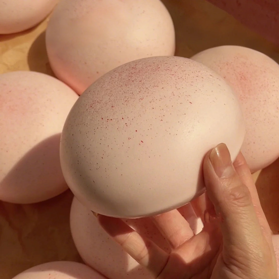 Squishy Knijpspeeltje in Broodvorm voor Volwassenen