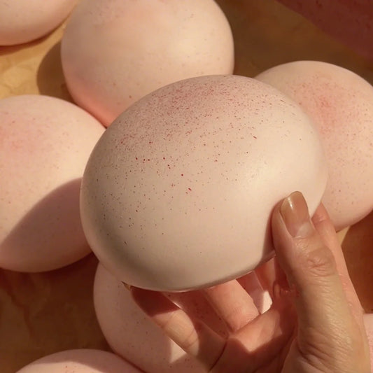Squishy Knijpspeeltje in Broodvorm voor Volwassenen