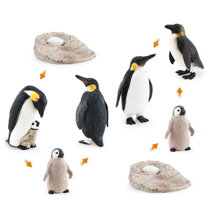 Set Educatieve Figuren: Levenscyclus van Vogels