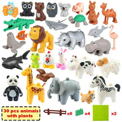 30 animal with plate