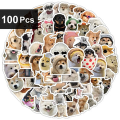 100pcs(1 pack)