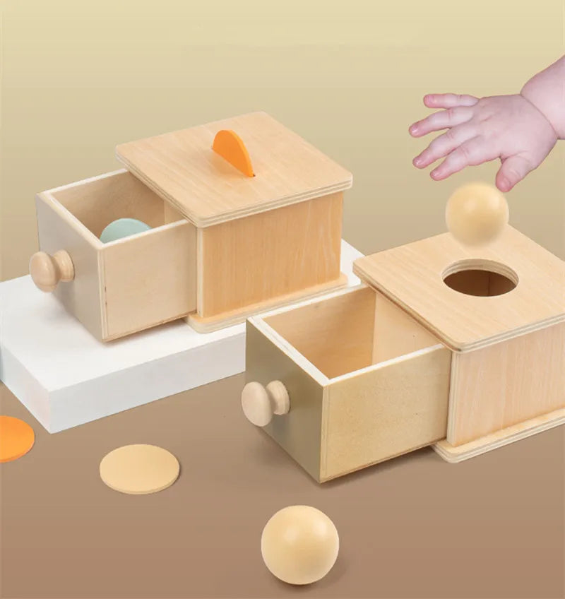 Montessori 4-in-1 Speelset: Objectpermanentie, Muntdrop, Worteloogst & Vormensorteerder