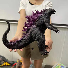 24cm 2