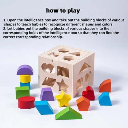 Houten Montessori 6-in-1 Speelbox met Objectpermanentie, Munten en Worteloogst