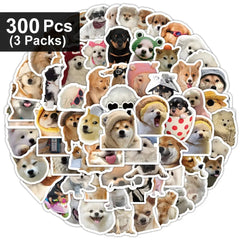 300pcs(3 packs)