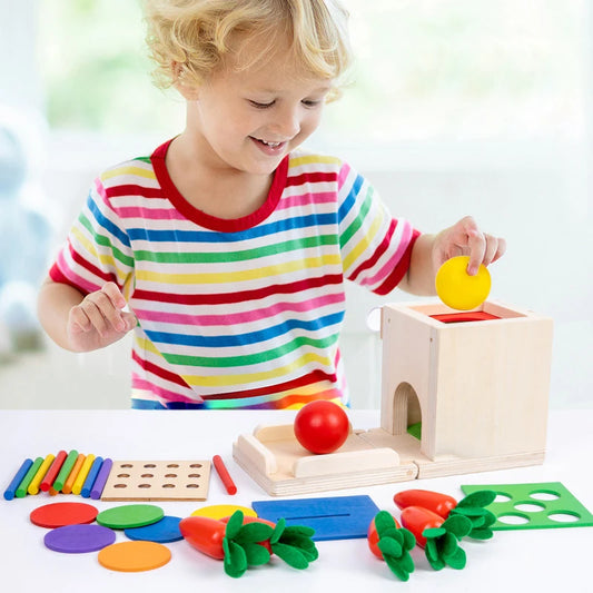 Montessori 4-in-1 Speelset: Objectpermanentie, Muntdrop, Worteloogst & Vormensorteerder