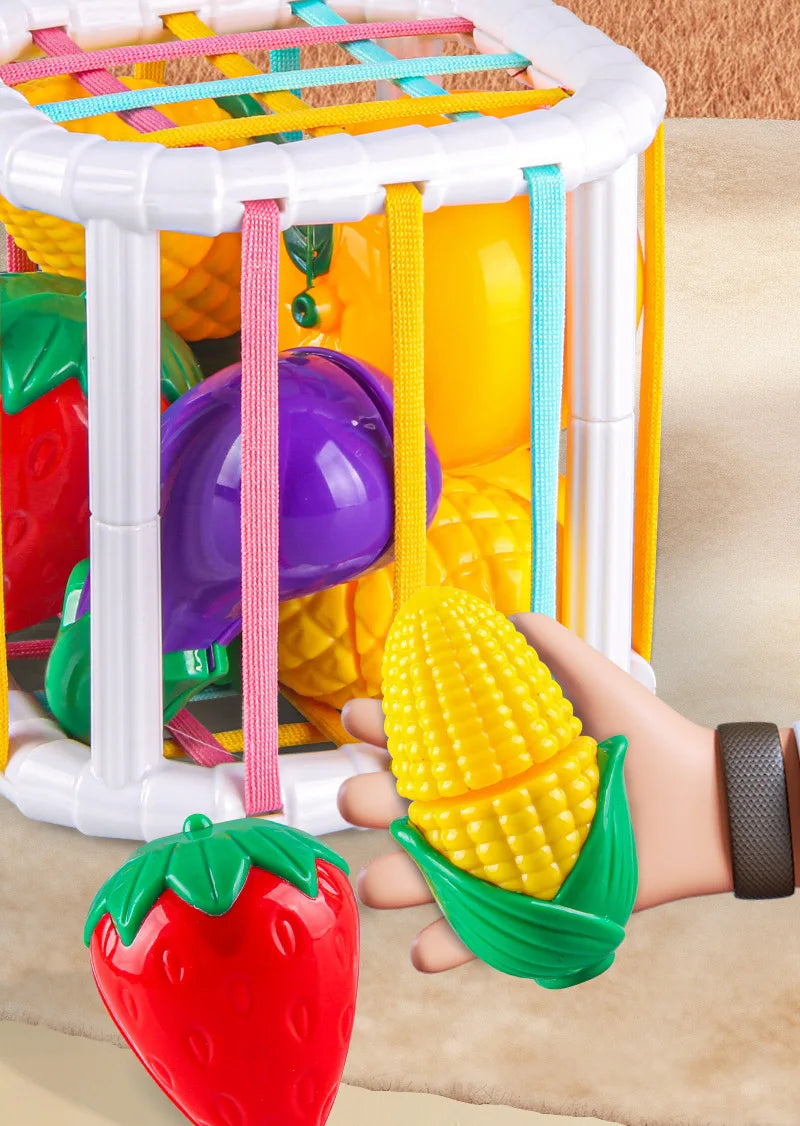 Montessori Speelset: Fruit Snijden en Vormen Sorteren