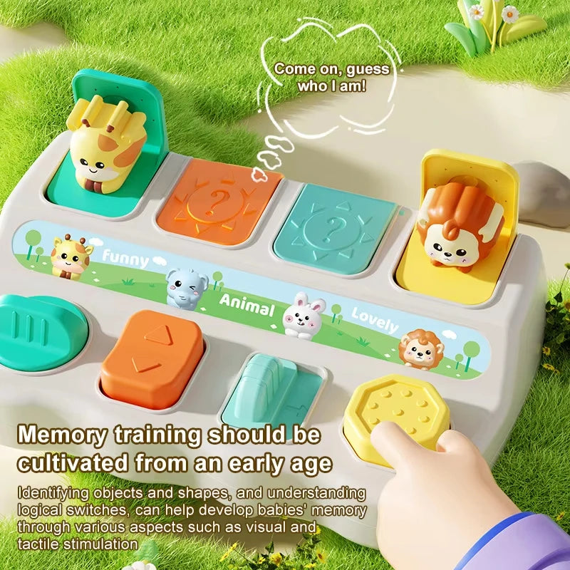 Baby Pop-Up Dieren Speelgoed met Knoppen