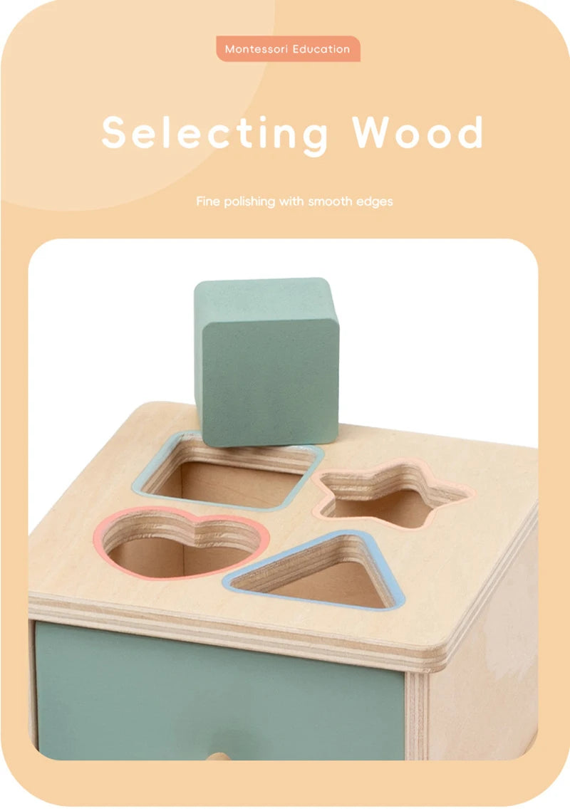 Montessori Object Permanent Box voor Fijne Motoriek