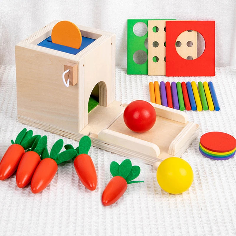 Montessori 4-in-1 Speelset: Objectpermanentie, Muntdrop, Worteloogst & Vormensorteerder