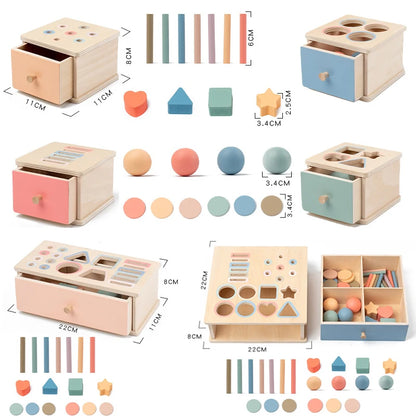 Montessori Object Permanent Box voor Fijne Motoriek