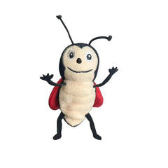 Ladybug