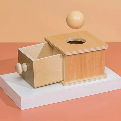 Montessori 4-in-1 Speelset: Objectpermanentie, Muntdrop, Worteloogst & Vormensorteerder