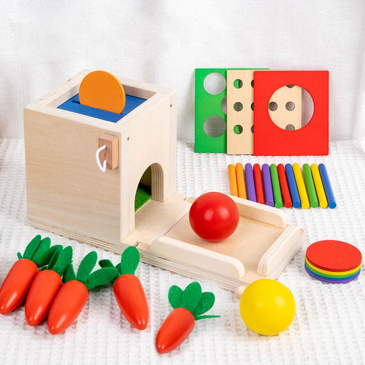 Montessori 4-in-1 Speelset: Objectpermanentie, Muntdrop, Worteloogst & Vormensorteerder