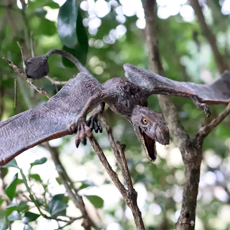 Dinosaurus model Pterodactyl figuur