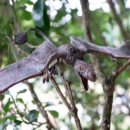 Dinosaurus model Pterodactyl figuur