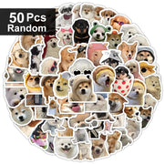 50pcs random