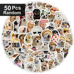 50pcs random