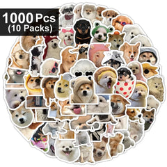 1000pcs(10 packs)