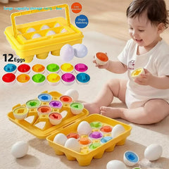 12pcs eggs random
