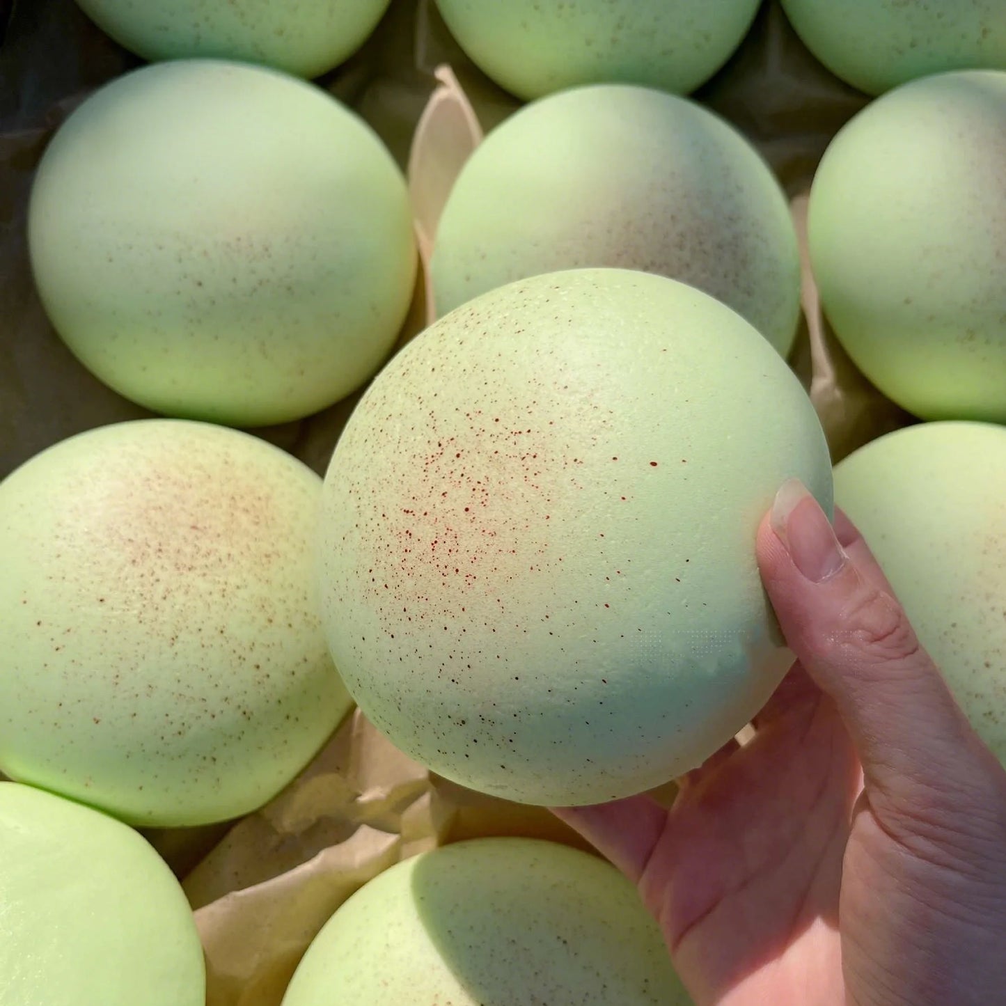 Squishy Knijpspeeltje in Broodvorm voor Volwassenen