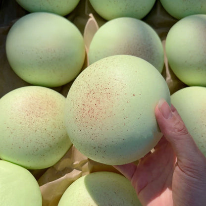 Squishy Knijpspeeltje in Broodvorm voor Volwassenen