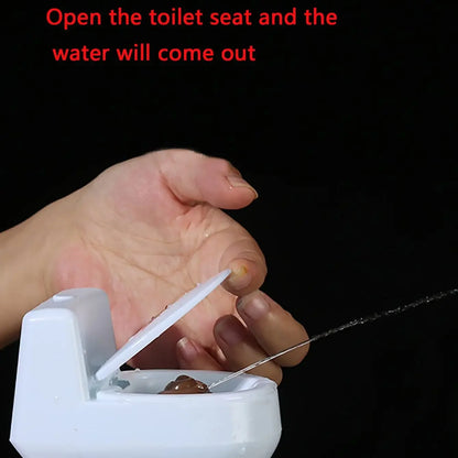 Mini Toiletspeelgoed met Sproeifunctie voor Grappen