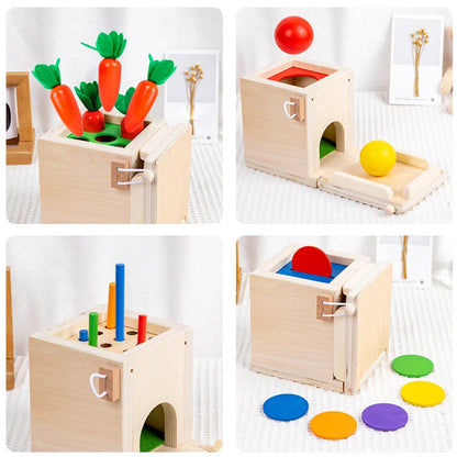 Montessori 4-in-1 Speelset: Objectpermanentie, Muntdrop, Worteloogst & Vormensorteerder