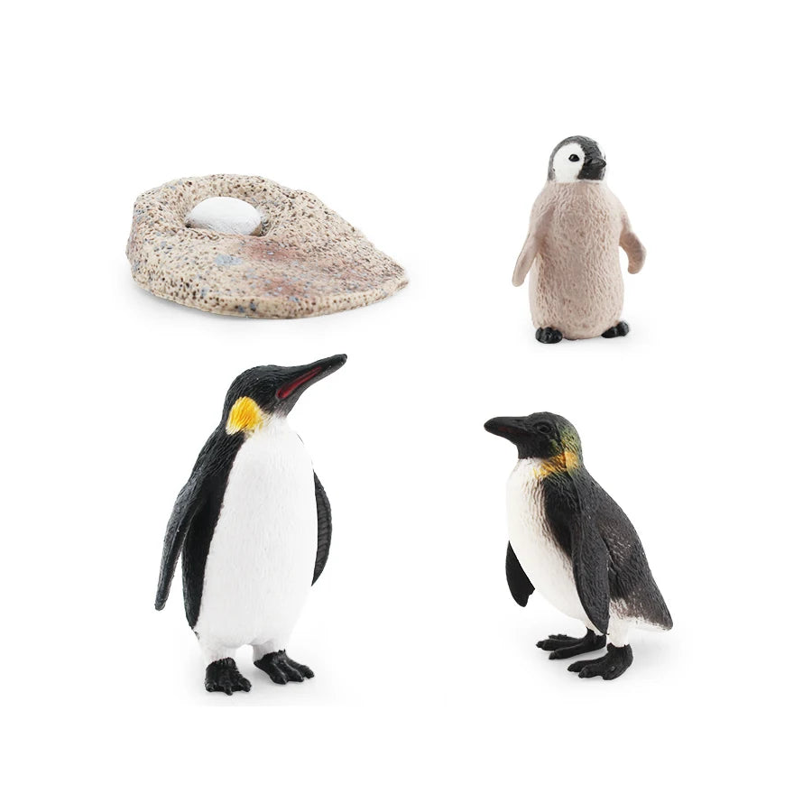 Set Educatieve Figuren: Levenscyclus van Vogels