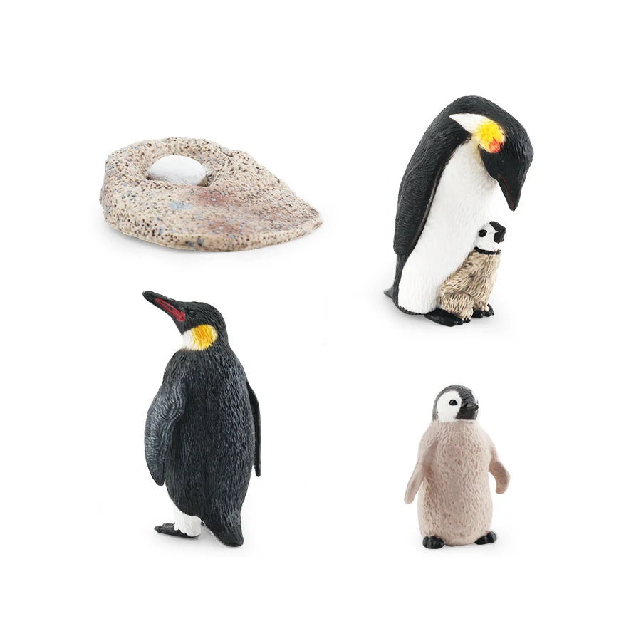 Set Educatieve Figuren: Levenscyclus van Vogels