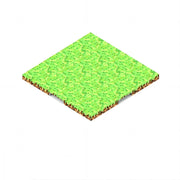 Grass