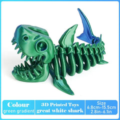 great white shark-C