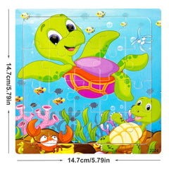 Sea Turtles
