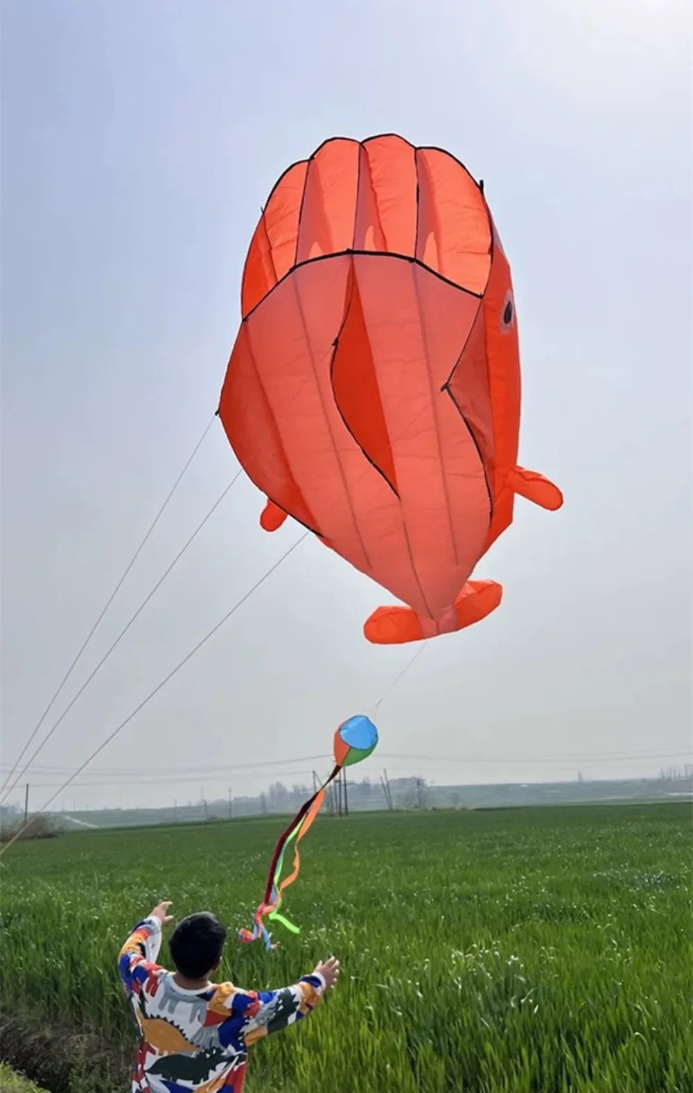 Grote Vlieger Walvis of Dolfijn – 2.2 meter met 100 meter vliegerlijn