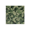 camouflage 11