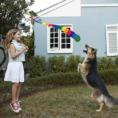 Interactieve Regenboog Meteoorbal voor Beweging en Sensorische Training