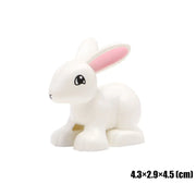 White rabbitB