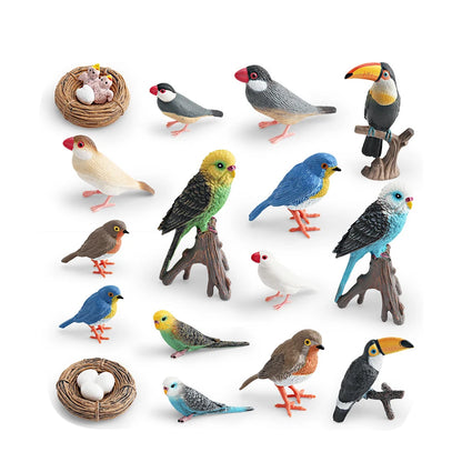 Set Educatieve Figuren: Levenscyclus van Vogels