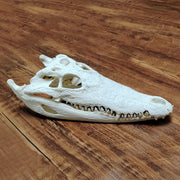 20-25CM