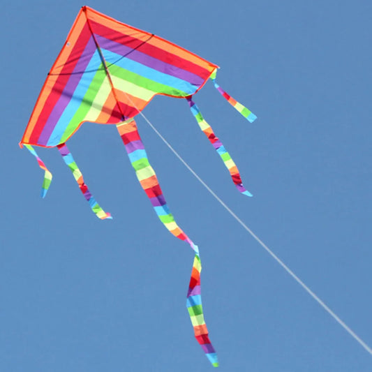 Kleurrijke Regenboog Vlieger voor Buitenplezier voor Kinderen