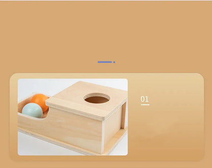 Montessori 4-in-1 Speelset: Objectpermanentie, Muntdrop, Worteloogst & Vormensorteerder