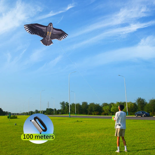 Grote Adelaar Vlieger met 100 meter Vliegerlijn